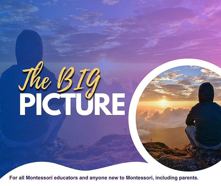 The Big Picture Course