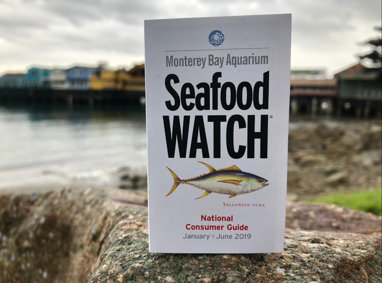 a photo of a seafood watch pocket guide