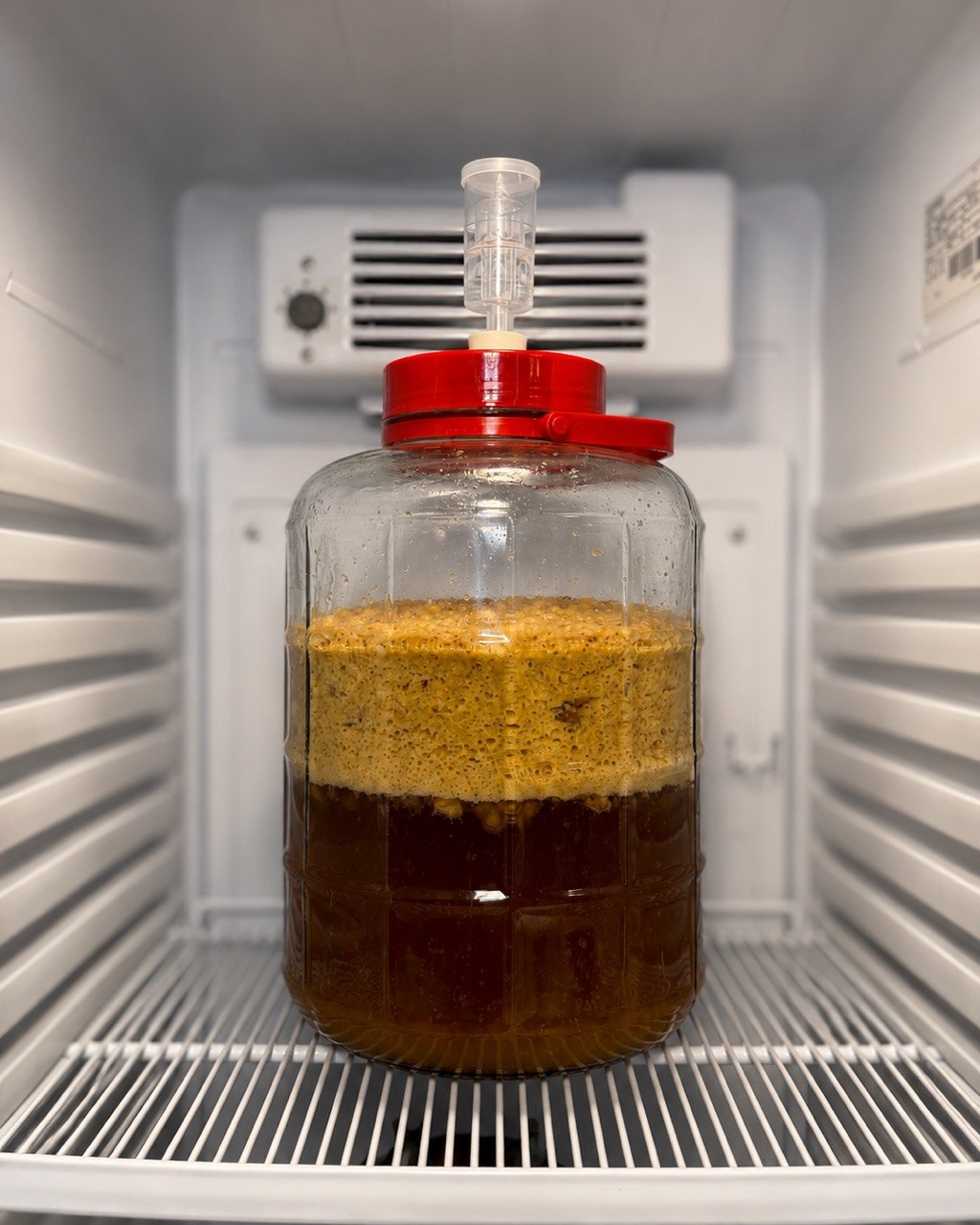 Master Fermenter Academy