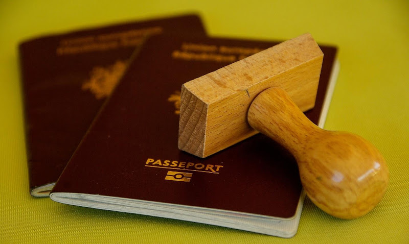 What we are reading | ConstitutionNet