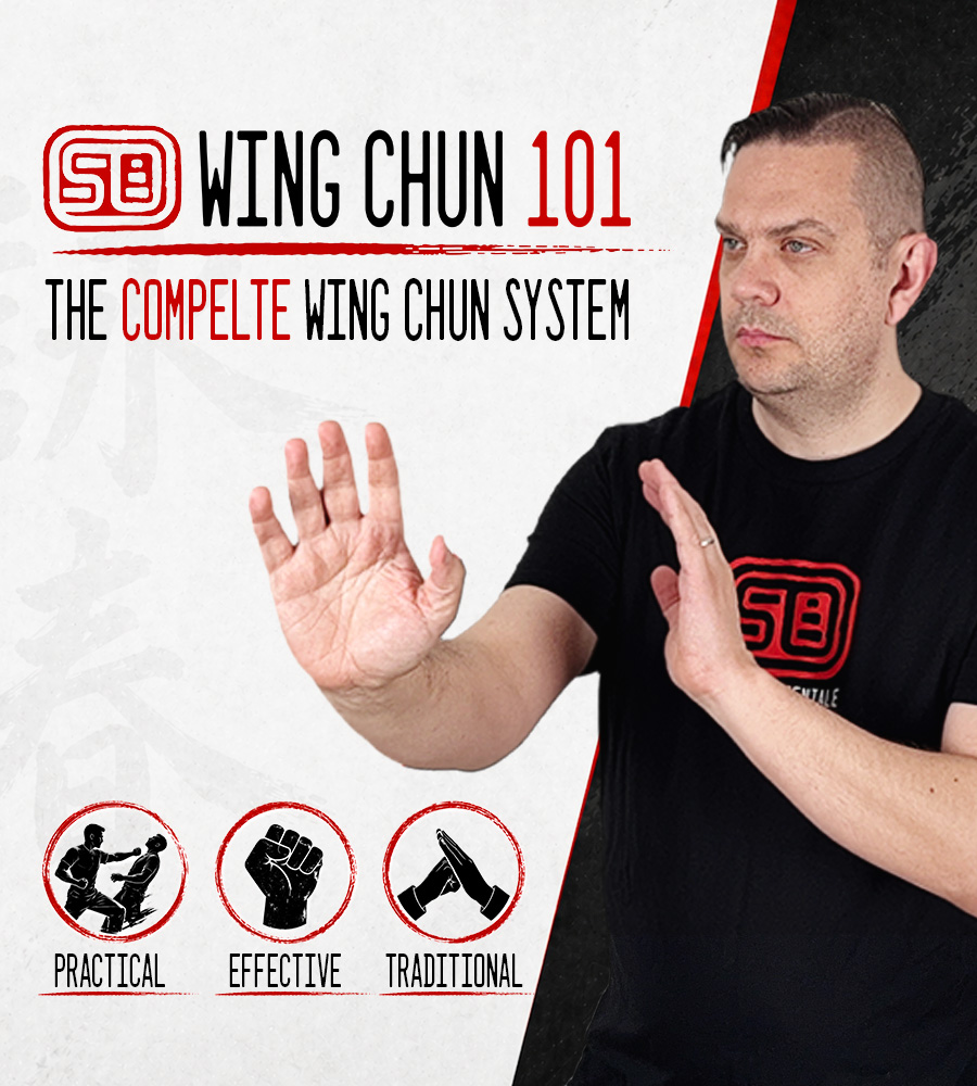 Learn Wing Chun online with structured home training