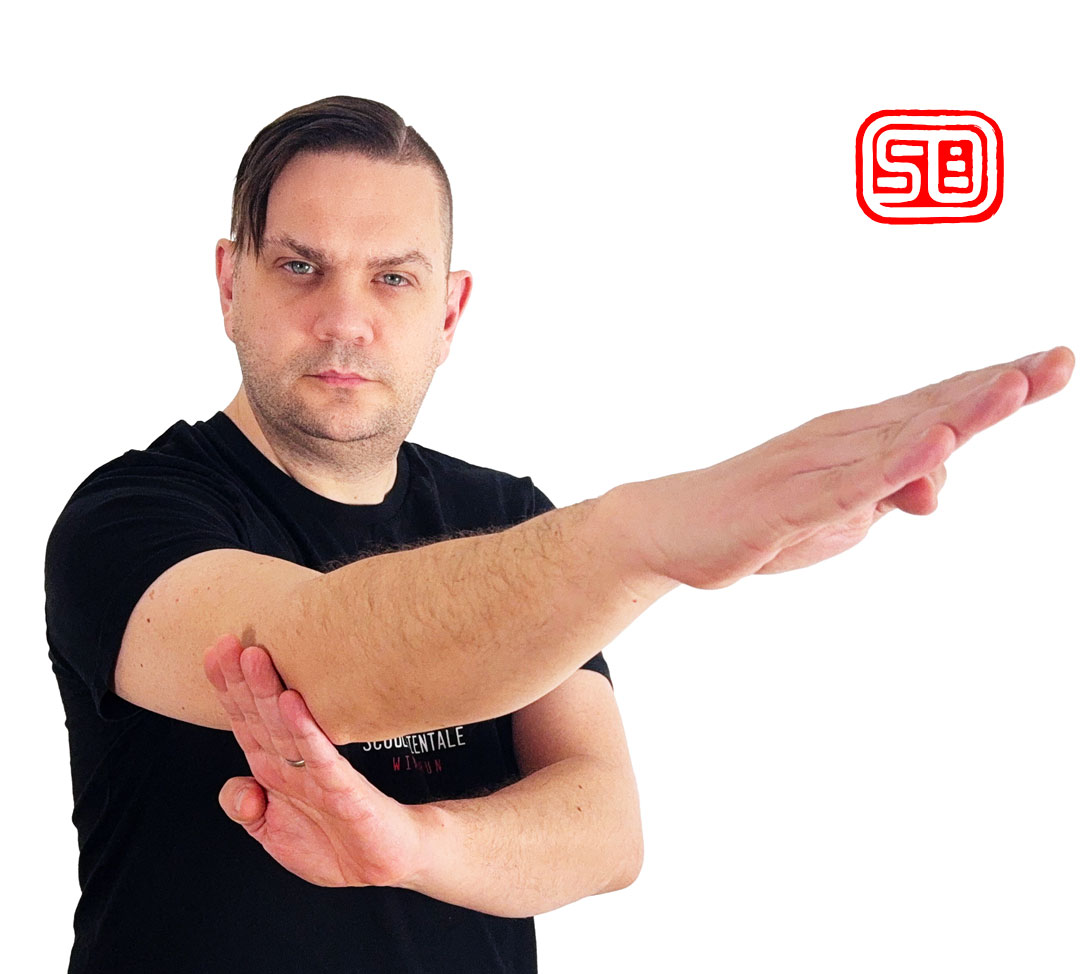Biu Tze Wing Chun syllabus advanced techniques recovery close range combat training