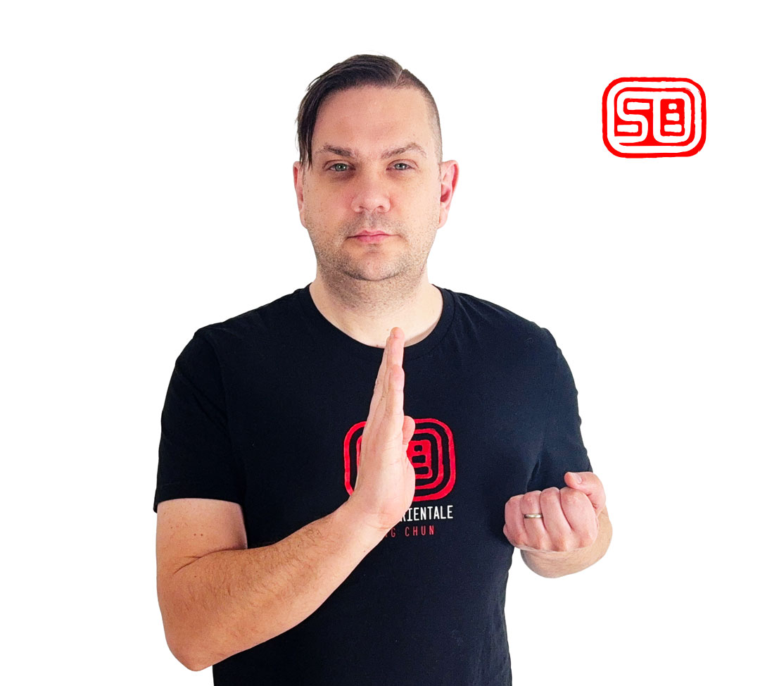 Siu Nim Tao Wing Chun syllabus training modules online course