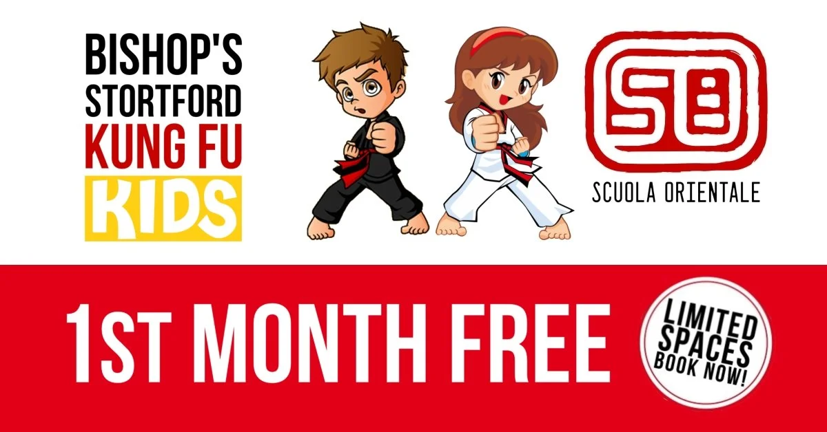 Bishop's Stortford Kids Kung Fu offer