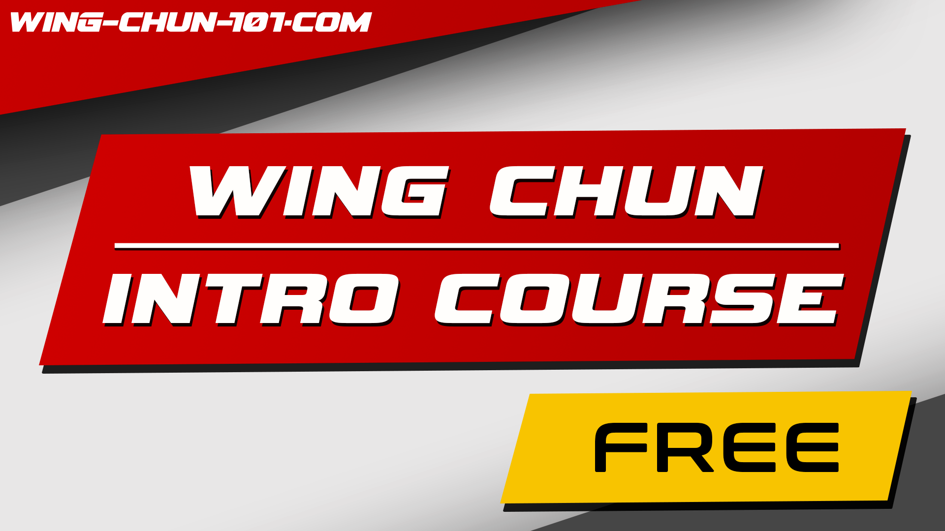 Wing Chun 101 Intro Image
