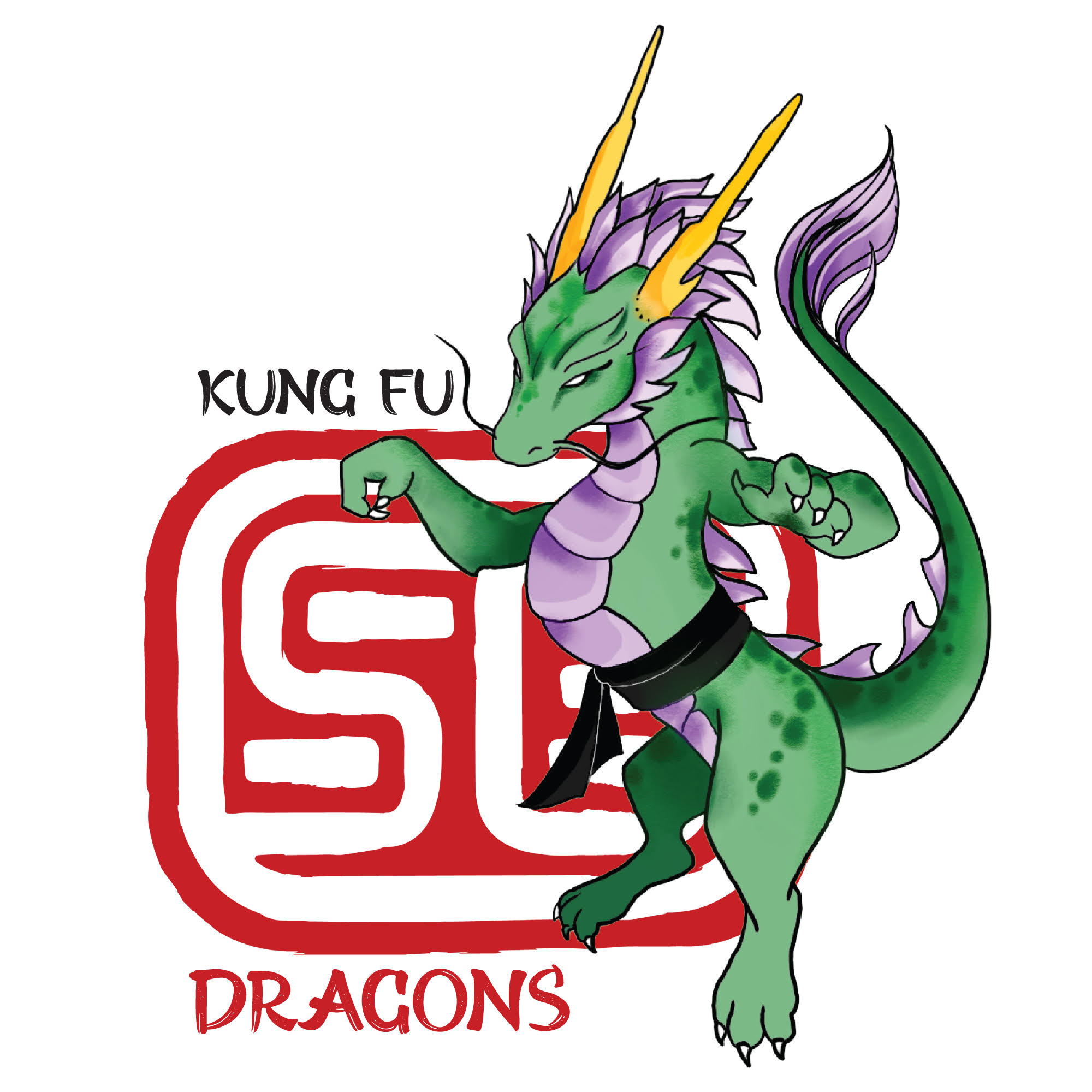 Dragon Kung Fu class for children aged 9 and above