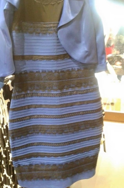 Black and blue or white and gold dress