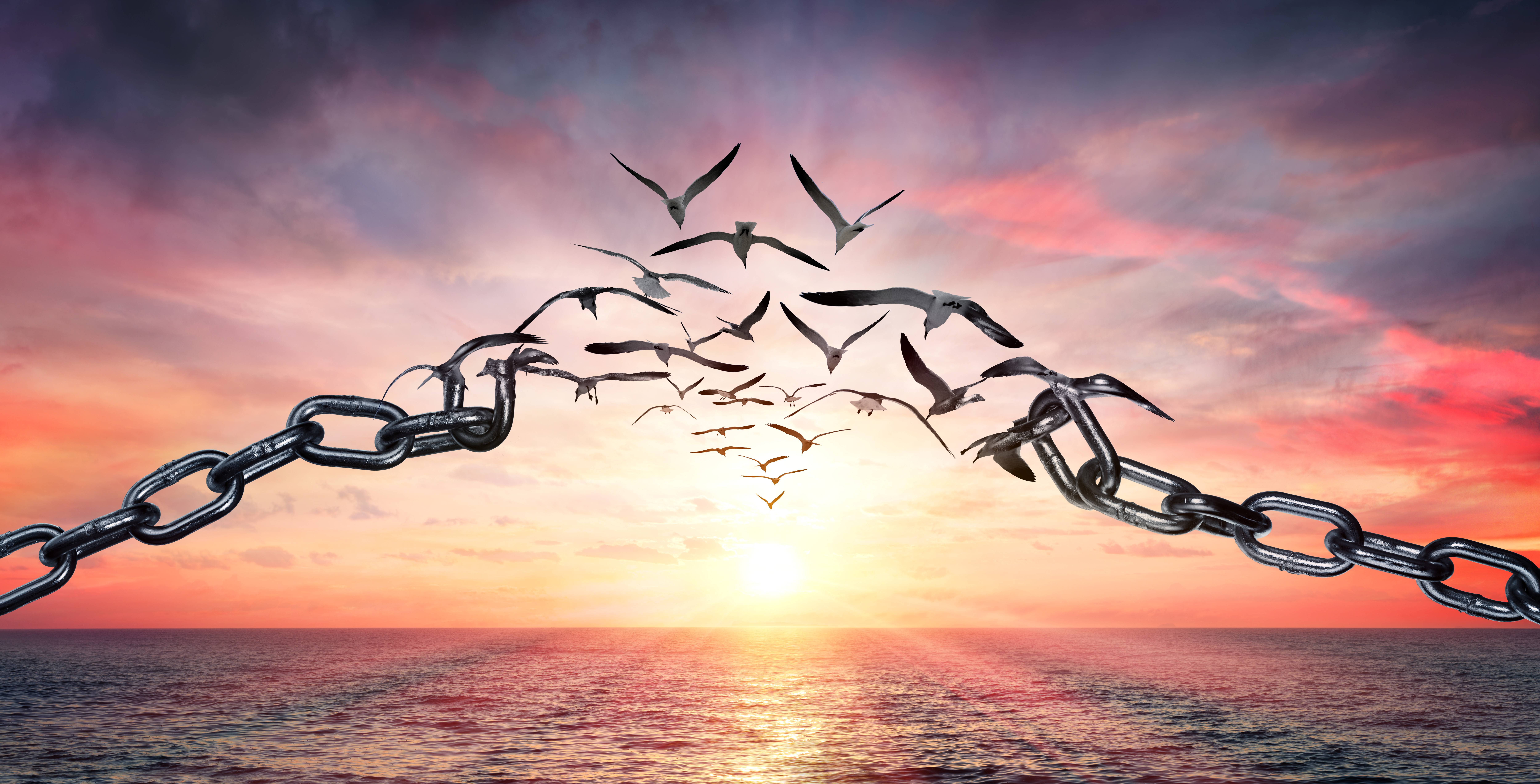 a chain runs across the front of a pretty sunrise.  At the centre of the chain it is broken and the linksa re turning into birds that are flying towards the sun