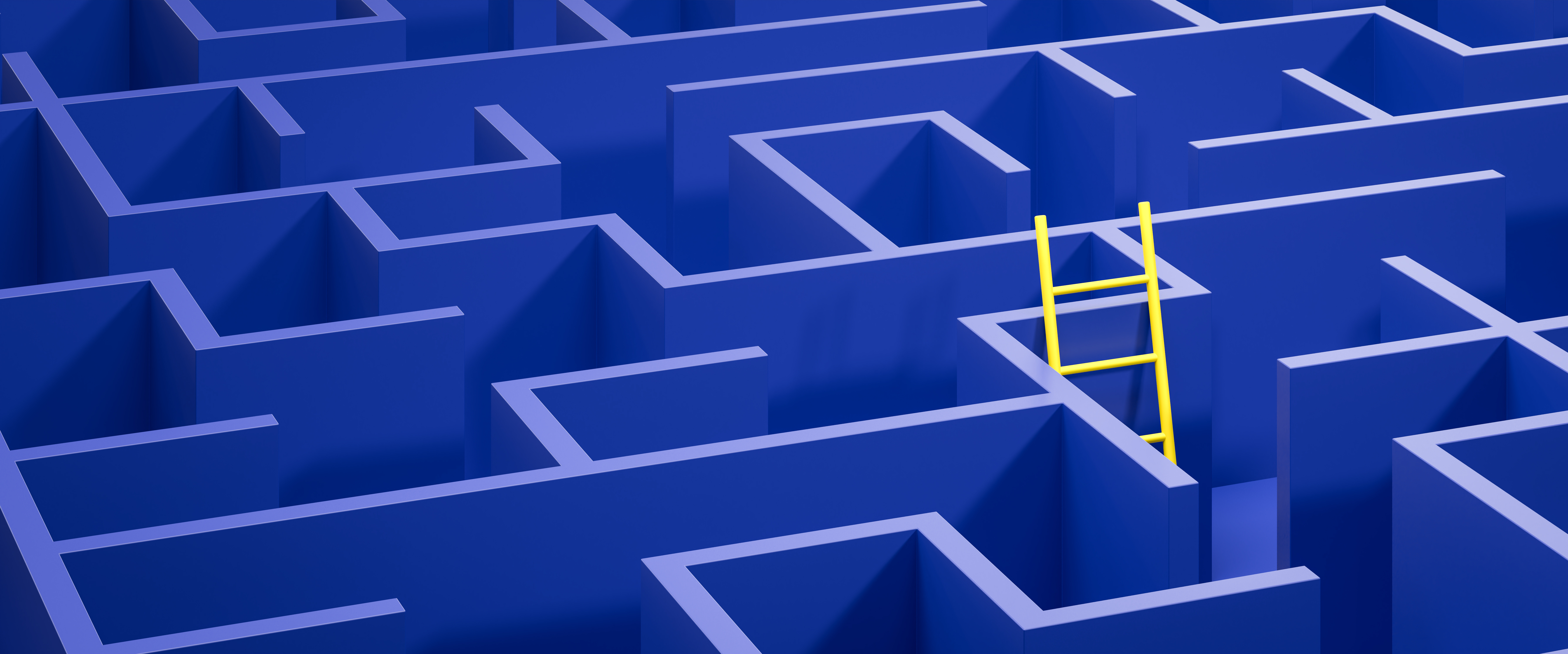 part of a maze of blue walls with a yellow ladder poking out over the top