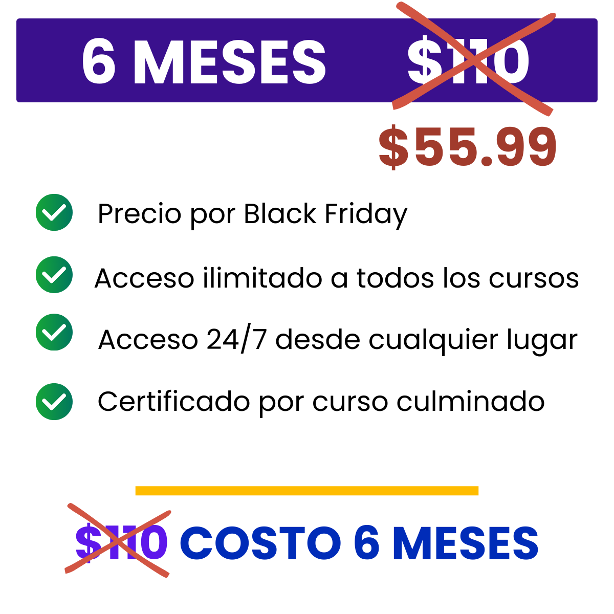 Plan Anual (Opción 1)