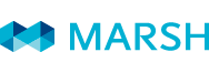 Marsh, insurance brokerage and risk management firm