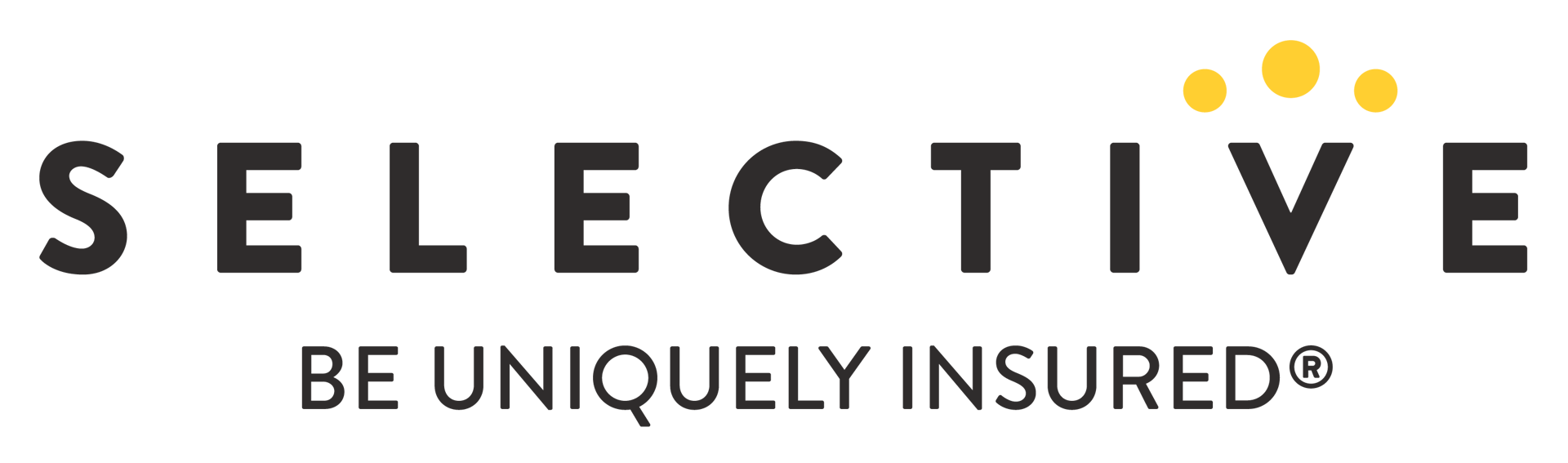 Selective Insurance, property and casualty insurance carrier