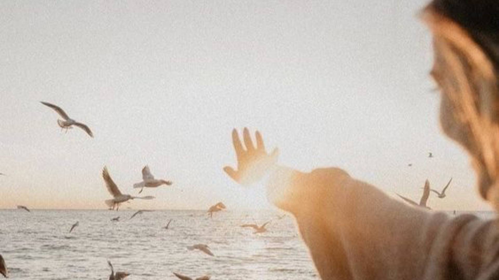 Boldog nő a tengerparton néz a távolba és kinyúl a kezével a madarak felé